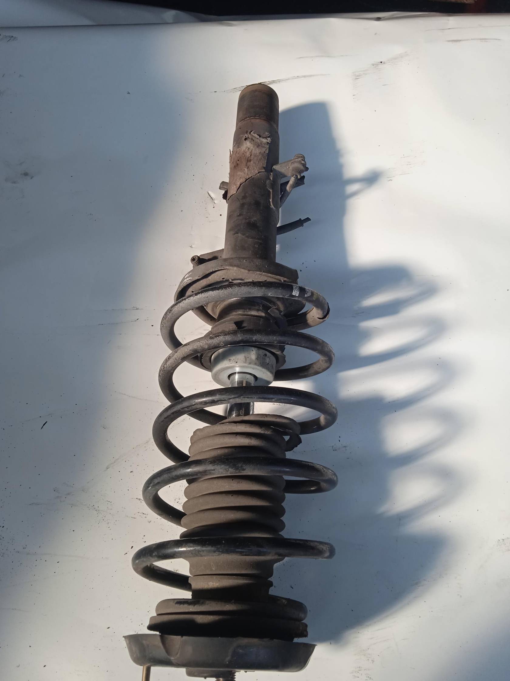 Ammortizzatore ant. dx.